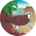 Logo de Stewards of the Coast and Redwoods