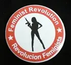 Logo de Feminist Revolution