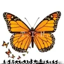 Logo of Teen Immigrant Helpers: Project Mariposa