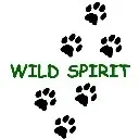 Logo of Wild Spirit Education, Inc.