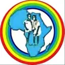 Logo de Millennium Child Support Group