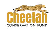 Logo de Cheetah Conservation Fund - USA
