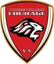 Logo of Prince William Soccer Inc (PWSI)