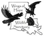 Logo of Wings of Hope Inc.