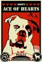 Logo of Ace of Hearts Dog Rescue