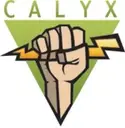 Logo de The Calyx Institute