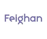 Logo de The Feighan Team