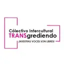 Logo de Colectivo Intercultural TRANSgrediendo