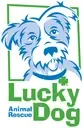 Logo of Lucky Dog Animal Rescue