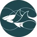 Logo of Shark Conservation Fund