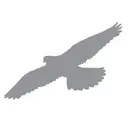 Logo of Conserve Wildlife Foundation of New Jersey