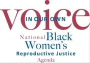 Logo de In Our Own Voice: National Black Women's Reproductive Justice Agenda