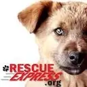 Logo de Rescue Express