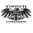 Logo of Triumph Foundation - Los Angeles
