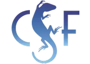 Logo of Conservation Strategy Fund
