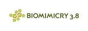 Logo of Biomimicry 3.8