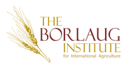Logo of Norman Borlaug Institute for International Agriculture