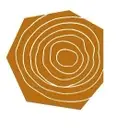 Logo de Museum for Art in Wood