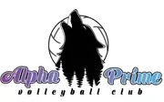 Logo of Alpha Prime Volleyball Club