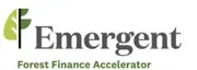 Logo de Emergent