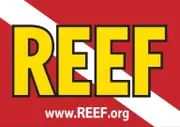 Logo of Reef Environmental Education Foundation