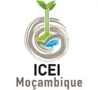 Logo de Istituto Cooperazione Economica Internazionale (ICEI)