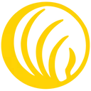 Logo de NAMI-SFV