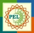 Logo of Progressive Education Lab