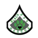 Logo de Black Ops Rescue