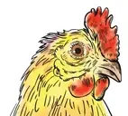 Logo of Legal Impact for Chickens