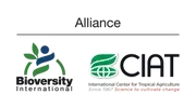 Logo of The Alliance Bioversity International/International Center for Tropical Agriculture - CIAT