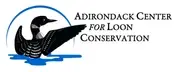 Logo de Adirondack Center for Loon Conservation