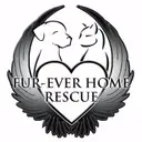 Logo de Fur-Ever Home Rescue