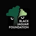 Logo of Black Jaguar Foundation