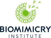 Logo de The Biomimicry Institute