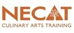 Logo of New England Center for Arts and Technology, Inc.