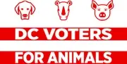 Logo de DC Voters for Animals