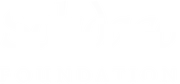 Logo of Solidago Foundation