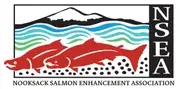 Logo of Nooksack Salmon Enhancement Association