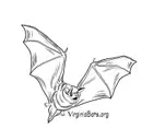 Logo of Bat Conservation & Rescue of Virginia