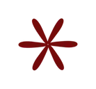 Logo de South Pacific Islander Organization