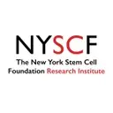 Logo of New York Stem Cell Foundation
