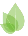 Logo de Urban Assembly School for Green Careers