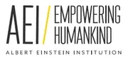 Logo de Albert Einstein Institution
