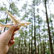 Fotografia de uma mão segurando um avião de brinquedo com grandes árvores atrás.