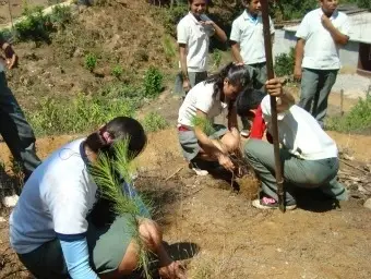 niños y niñas plantando árboles