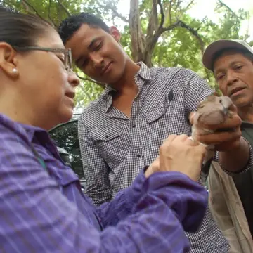 A biologist shows a brown bird to a couple of technicians.