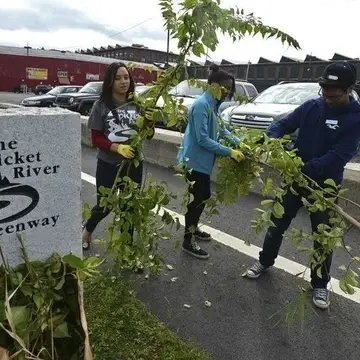 Youth pull invasives during the annual Spicket River Cleanup
