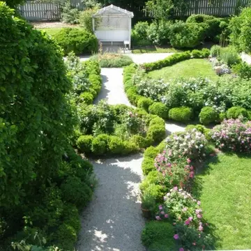 Image of Wyck rose garden in bloom