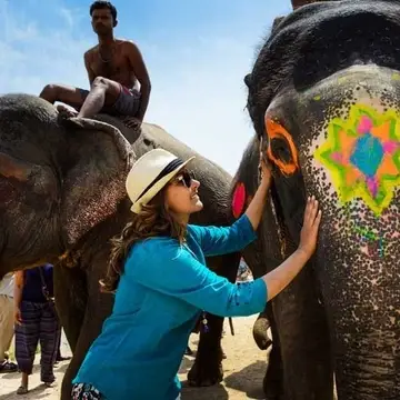elephant in India